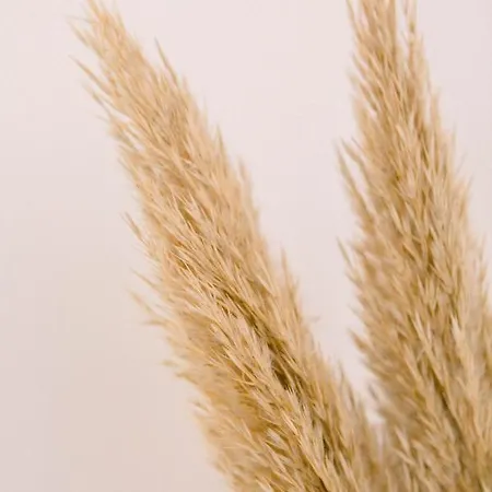 Appartamento Casa Yasmina *