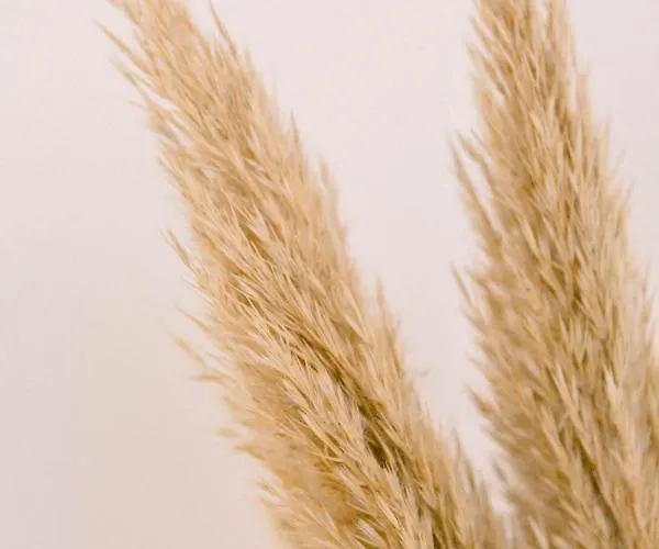 Lägenhet Casa Yasmina *